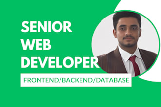 develop a web application with database, backend, frontend