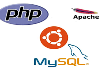 be your professional full stack php web developer