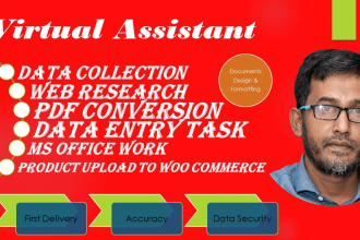 be virtual assistant for data entry,file conversion, typing task