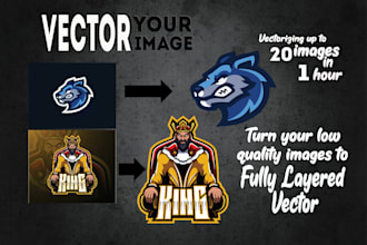 vectorize your low quality image