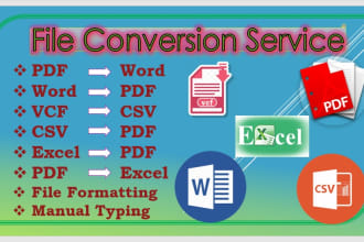 do data entry in excel csv pdf vcf word and conversions, free samples