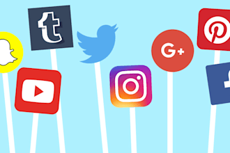 be your social media and advert manager