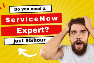 provide professional servicenow development and servicenow administration