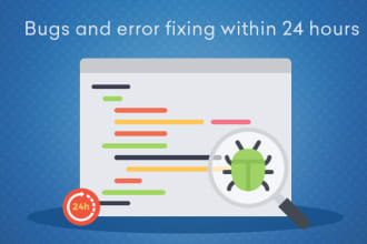 fix any problems or bugs on your website