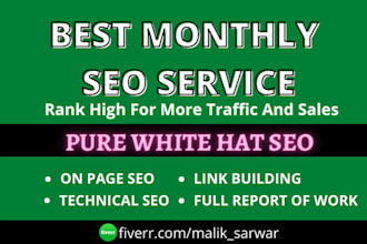 provide complete monthly seo service for top google ranking