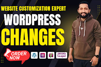 expertly edit or changes your wordpress website