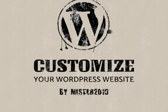 do any customization for your wordpress website