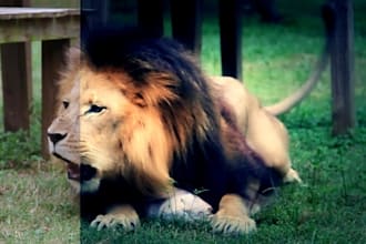 edit Your Video and Add Custom Effects to Make it More Appealing