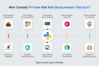 python, flask and ansible development for you