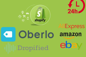 build a premium aliexpress shopify dropshipping store 24hrs