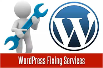 solve any kind of wordpress issue
