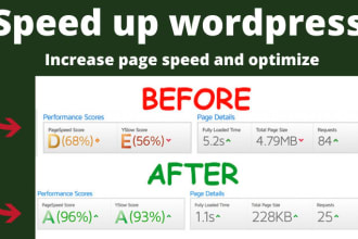 do advanced wordpress speed optimization and  google page speed