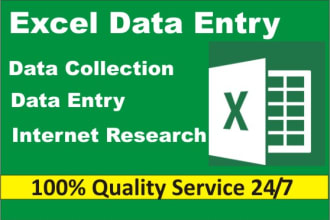 do excel data entry, web research, copy paste and internet research