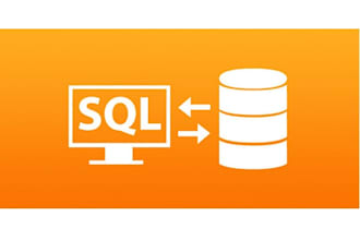 be your database administrator