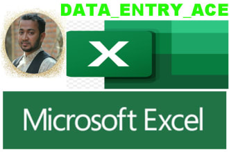 fast excel data entry, cleaning, and formatting in 24 hours