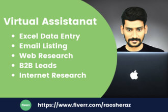 be your VA for excel data entry email listing and b2b leads