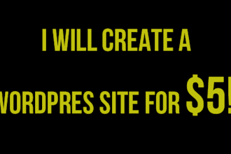 proffesionally design a wordpress site
