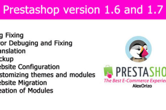 customize prestashop website module and theme