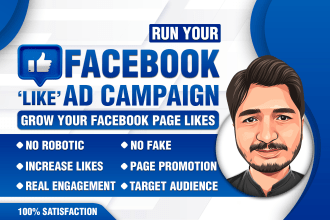 run a facebook ad campaign to grow page likes
