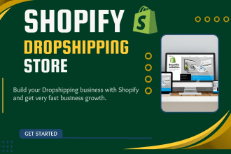 setup or customize your shopify store dropshipping website