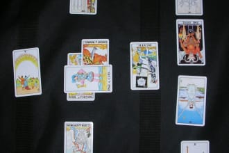 do an 11 card tarot reading for your pet