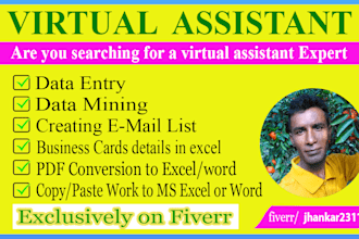 be your virtual assistant for data entry