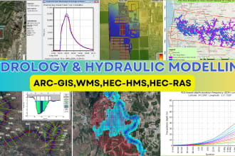 do gis analysis, hydrology and hydraulic modelling