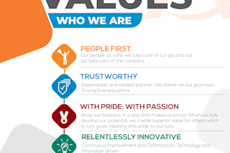 create a top quality professional infographic design