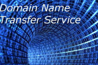 transfer your domain name to a new hosting service