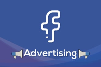set up and optimize facebook ads with the targeted audience