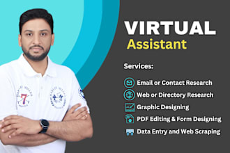 be your VA for data entry, web research and find contacts list