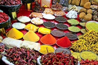 be your guide, travel adviser, food connoisseur in Mumbai just