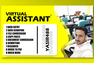 be your VA for data entry, data mining, research and for typing jobs