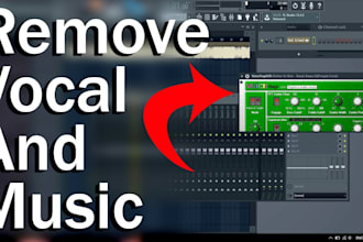 remove vocals or music from any song in 24 hours