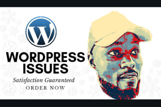 fix wordpress issues or errors