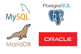 design database and write, modify, optimize sql queries