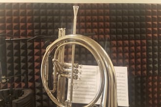record a french horn section for your project