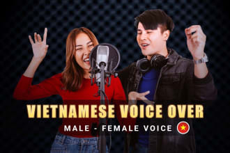 record a professional vietnamese voice over, voice talent