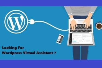 work as a virtual assistant of your wordpress site