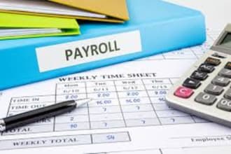 expert payroll services manage payroll on different software