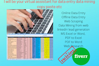 do efficient data entry, web research work