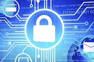 deliver virtual chief information security officer services