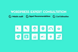 provide expert consultation for your wordpress website