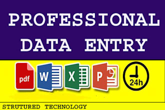 complete data entry work with full accuracy