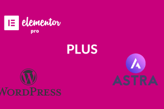 install elementor pro with licence activated
