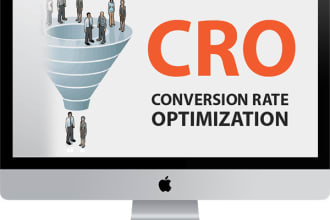 do conversion rate optimization and website analysis