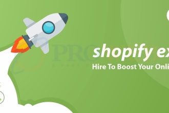 create profitable shopify dropshipping store or shopify website