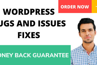 fix wordpress issues or wordpress errors