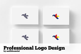 design a professional logo