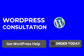 fix wordpress bugs, provide wordpress consultation